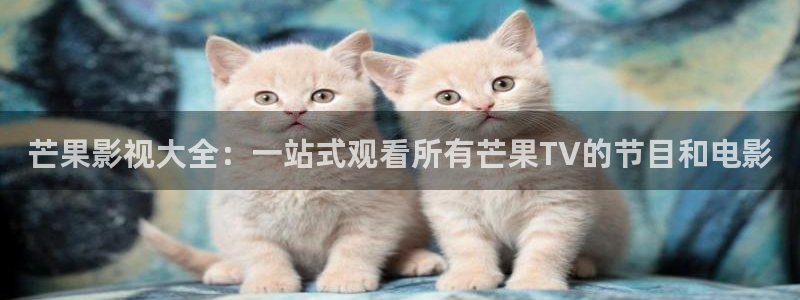 草莓视频xx