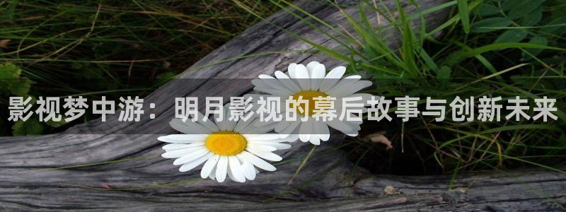 日本成人草莓视频