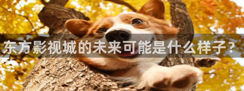 草莓视频真实链接