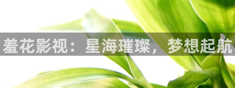 草莓视频下载地址