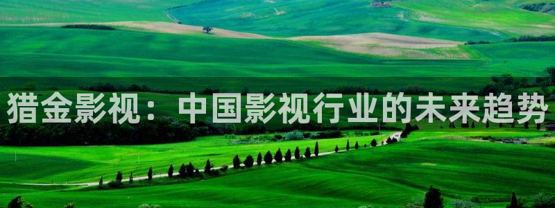 草莓视频wwwcom