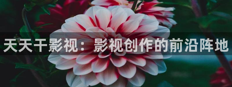 草莓69cm.tv视频