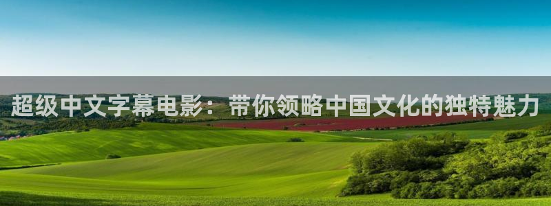 草莓视频在线观看ww