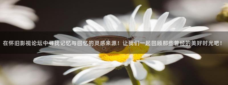 久久精品草莓视频