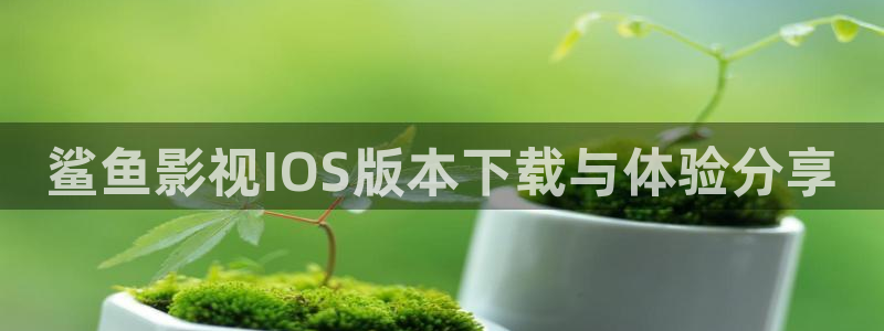 草莓av网站在线：鲨鱼影视IOS版本下载与体验分享