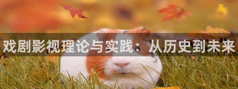 草莓在线视频一区二区