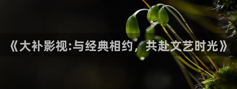 久草莓视频在线